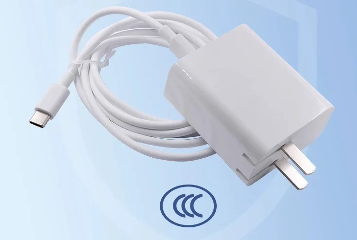 Nguồn USB type C PD65W cho Orange Pi AIPro - Ảnh 3